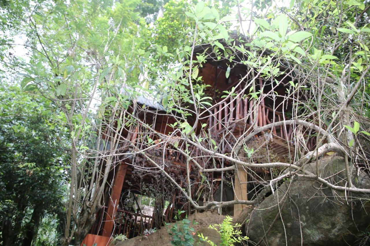 אלה Jungle Face Inn מראה חיצוני תמונה