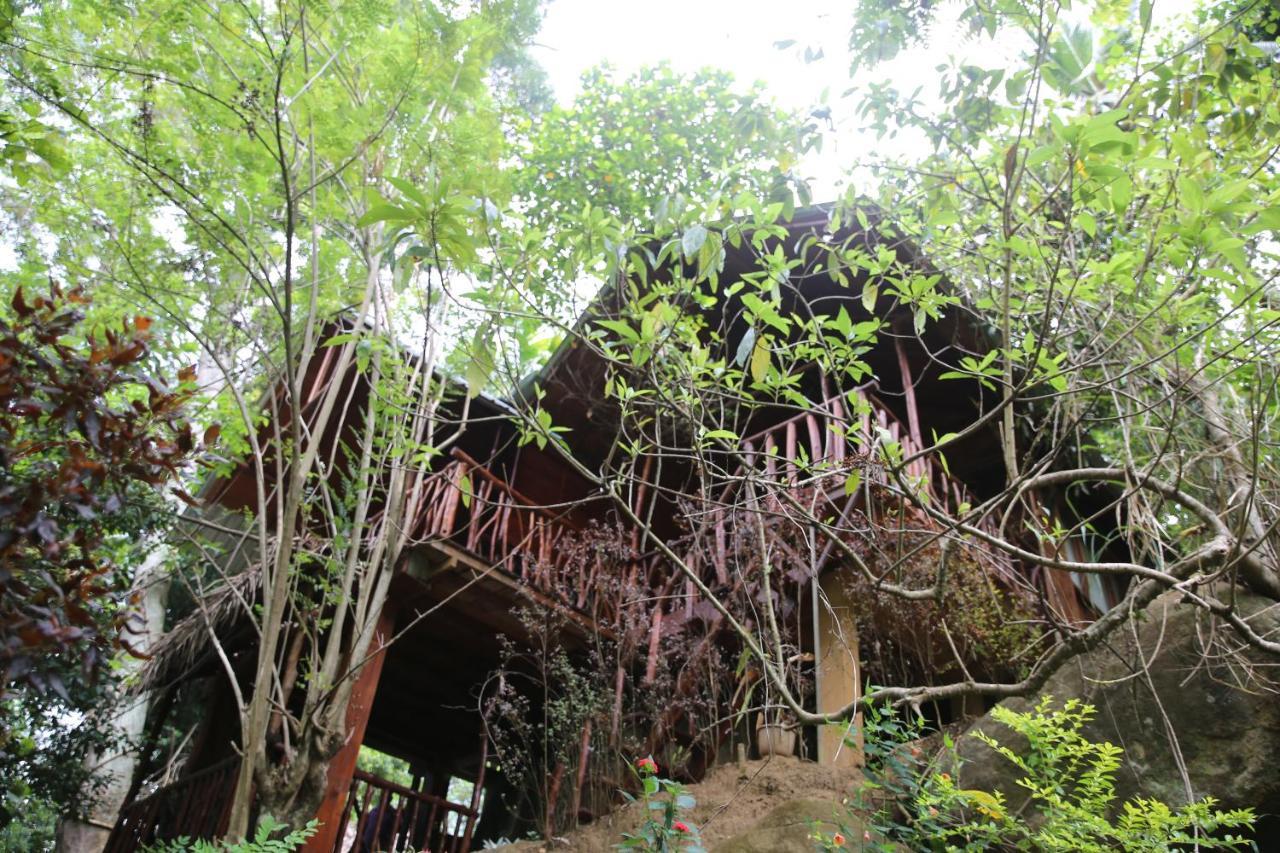 אלה Jungle Face Inn מראה חיצוני תמונה