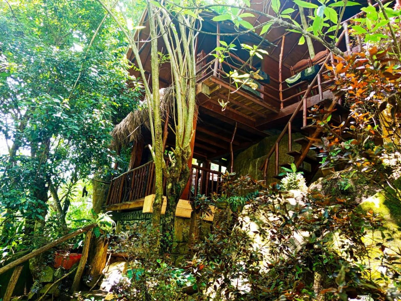 אלה Jungle Face Inn מראה חיצוני תמונה