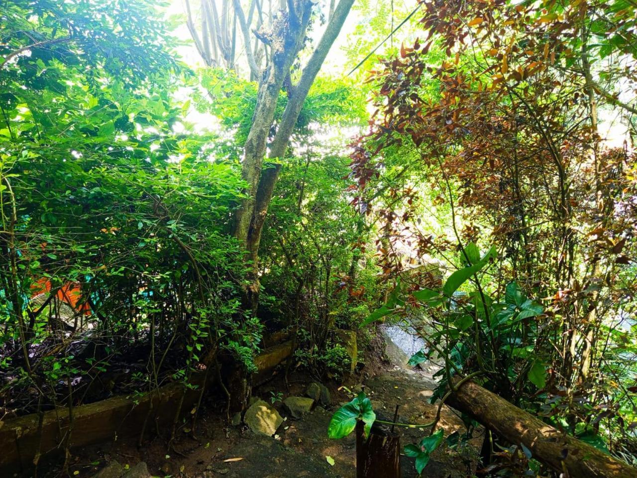 אלה Jungle Face Inn מראה חיצוני תמונה